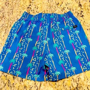 Mens Chubbies classic swim trunks.